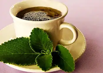 Chás podem ser grandes aliados após refeições exageradas - (crédito: Recitadavovo.com.brDiurético, Anti-Inflamatório, Gases, Calmante, )