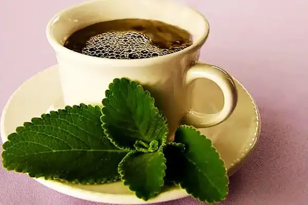 Chás ideais para combater os excessos após a ceia de Natal