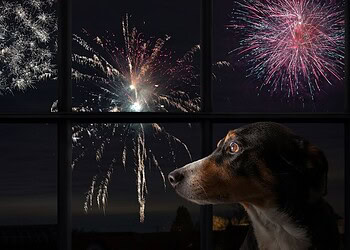 Reprodução/ Alto Astral