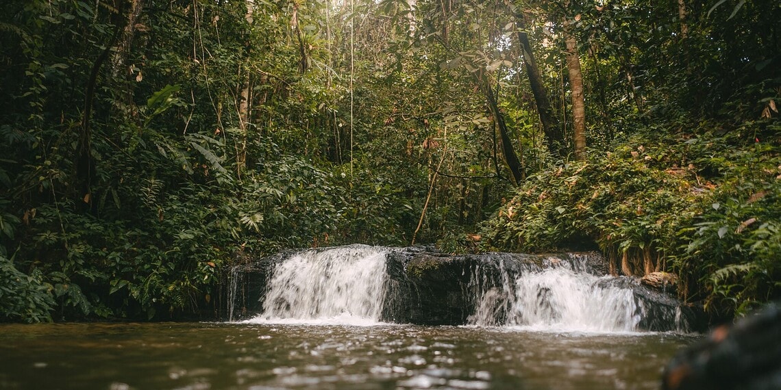 Foto: Marcos Rocha/Sete