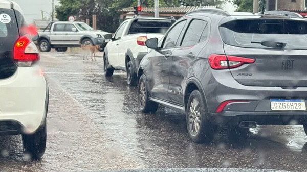 Detran alerta para cuidados na estrada durante as festas de fim de ano