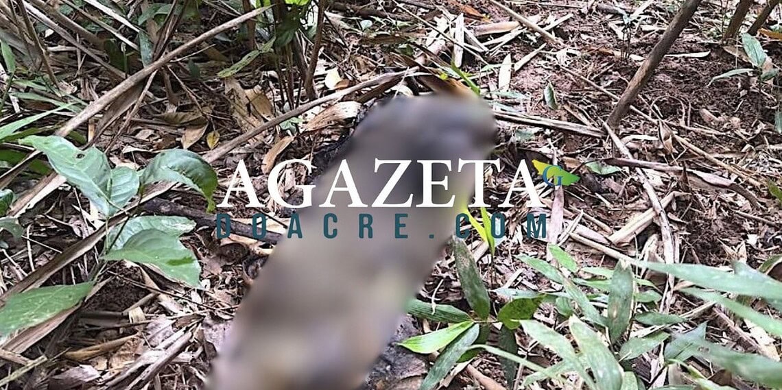 Ossada humana é encontrada em área de mata no interior do Acre 1 Screenshot