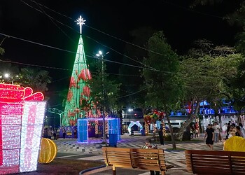 Domingo tem ônibus gratuito para a Praça da Revolução; veja as datas da tarifa zero em Rio Branco 2 Foto: Marcos Araújo/Secom