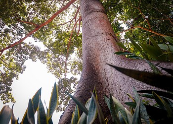 Foto: Marcos Araújo/Secom