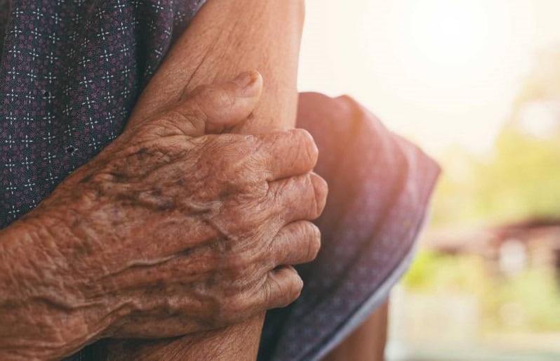 Lei Maria da Penha deve ser aplicada em caso de idosa agredida por companheira do neto, decide TJAC 1 Foto: Reprodução