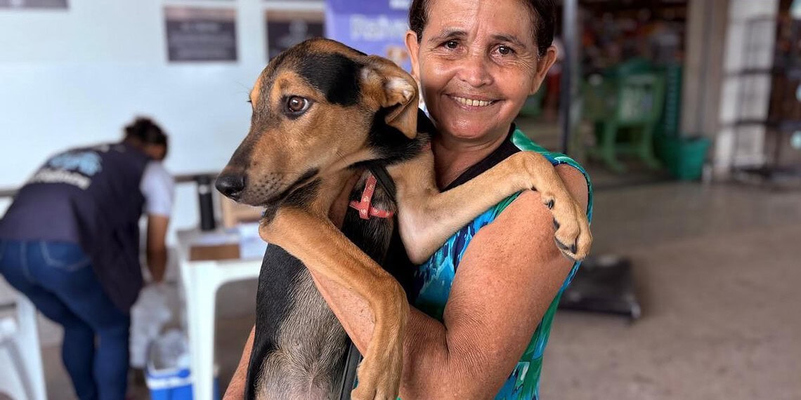 Vacinação antirrábica para cães e gatos segue até sexta em Rio Branco; veja onde vacinar 1 Foto: Secom