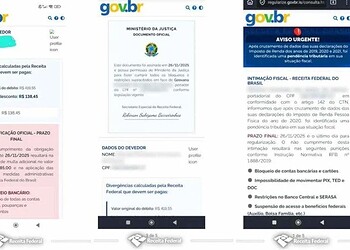O perigo do "golpe do gov.br": página falsa engana com dados reais 2 Site recria portal gov.br em golpe - (crédito: Receita Federal)