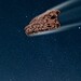 Molécula ligada ao hormônio da felicidade é detectada em asteroide 8 Getty Images