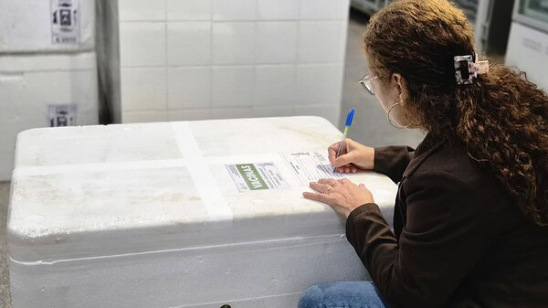 Acre convoca gestantes para vacinação inédita contra bronquiolite; 3,8 mil doses já chegaram ao estado