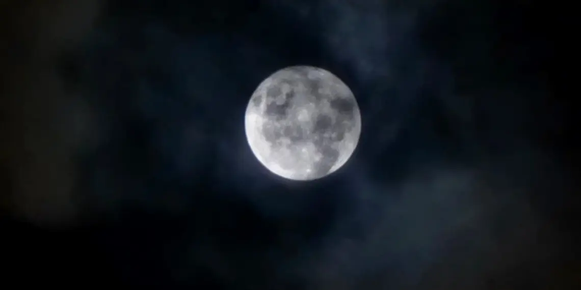 Foto: Anne Nascimento