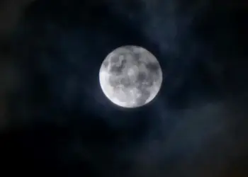 Foto: Anne Nascimento