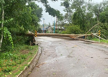 Temporal alaga ruas, derruba árvore e causa transtornos em Rio Branco 5 Foto: Defesa Civil Municipal