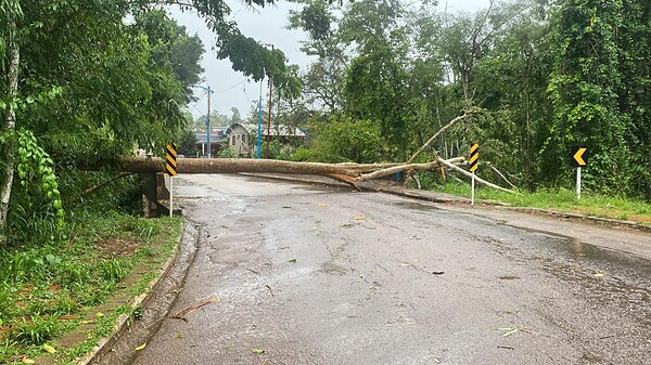 Temporal alaga ruas, derruba árvore e causa transtornos em Rio Branco