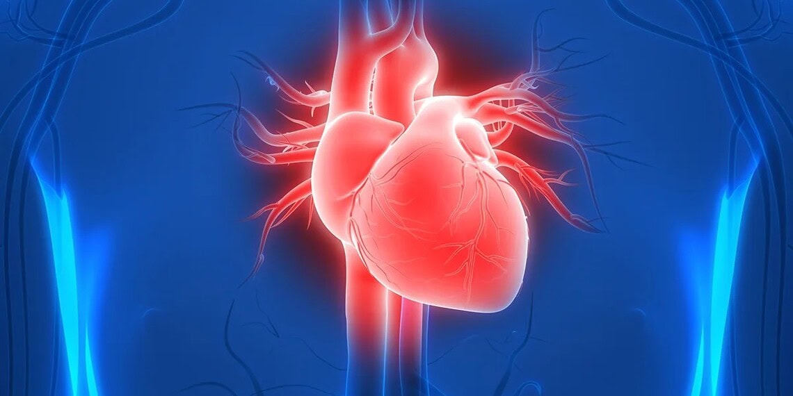 Cardiologista aponta qual é a pior bebida para a saúde do coração 1 Magicmine/Getty Images