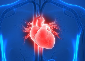 Cardiologista aponta qual é a pior bebida para a saúde do coração 2 Magicmine/Getty Images