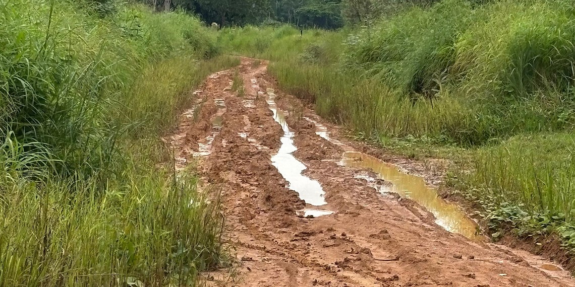 Produtores rurais ficam isolados após chuvas e vereador da base denuncia abandono de ramais 1 Foto: Cedida