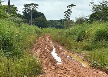 Produtores rurais ficam isolados após chuvas e vereador da base denuncia abandono de ramais 3 Foto: Cedida
