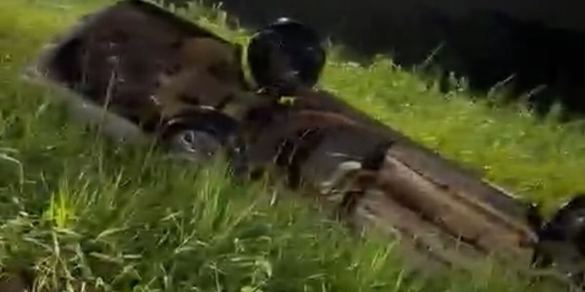 Carro de funerária capota após perder controle na estrada do Aeroporto, em Rio Branco