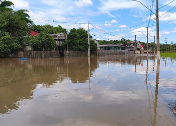 Foto: Walcimar Júnior