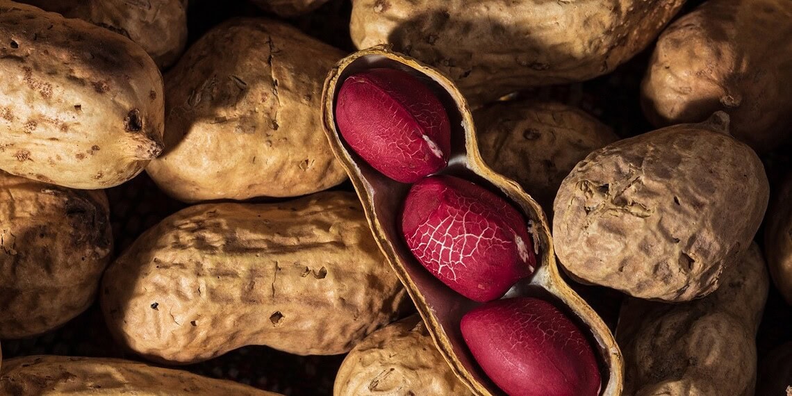 Muhammad Owais Khan/Getty Images