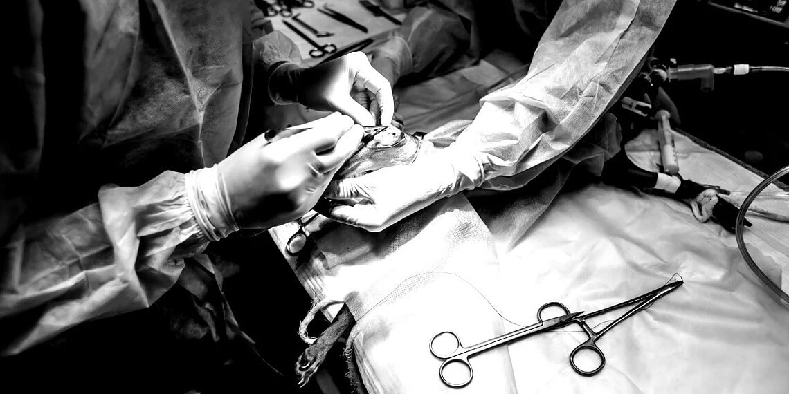 Foto: Artem Zakharov / Getty Images