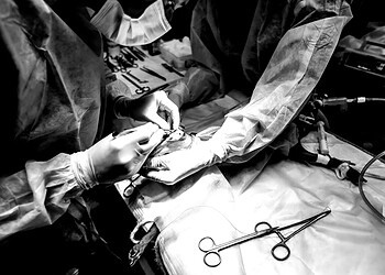 Foto: Artem Zakharov / Getty Images