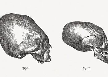 Cientistas acham crânio quadrado que revela antiga técnica mexicana 2 Foto: Getty Images