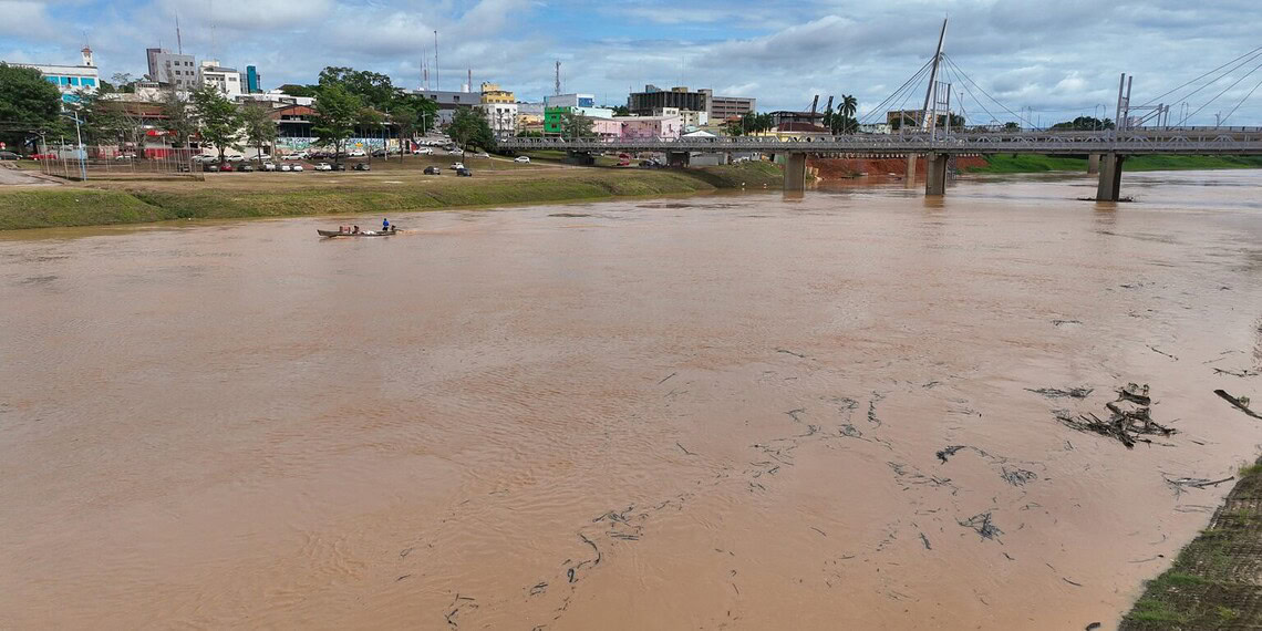 Após mais de 70 milímetros de chuva, nível do Rio Acre volta a subir em Rio Branco 1 Foto: Pedro Devani/Secom