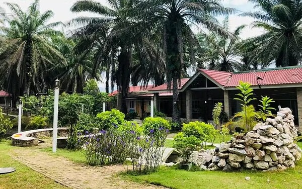 'Casa de idosos' para jovens viraliza na internet e tem quartos esgotados