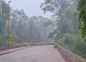 Foto: Reprodução/Redes sociais