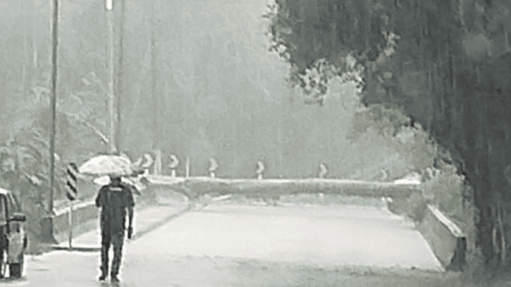 Temporal alaga ruas, derruba árvore e causa transtornos em Rio Branco 1 Foto: Reprodução/James Pequeno