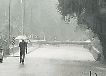 Foto: Reprodução/James Pequeno