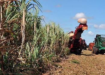 Foto: Arquivo/Agência Brasil