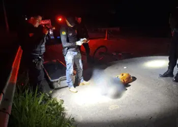 Homem é encontrado morto às margens da BR-317; cachorro da vítima permanecia ao lado do corpo