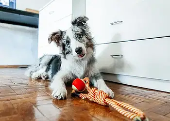 Olga Pankova/Getty Images