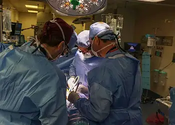 Primeiro transplante de rim de porco em humanos foi feito em um paciente de 62 anos em março de 2024, no Hospital Geral de Massachusetts, Estados Unidos - (crédito: Divulgação/Hospital Geral de Massachusetts)