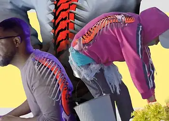 Como conviver com dor nas costas — e aliviar os sintomas 2 A espinha humana compreende normalmente 33 vértebras, que vão da base do crânio até a parte superior das nádegas. As nove inferiores são fundidas entre si. - (crédito: BBC)