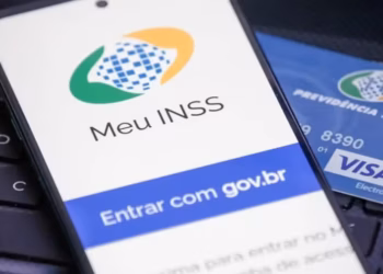 Pedido de adesão é feito pelo aplicativo do INSS — Foto: INSS/Divulgação