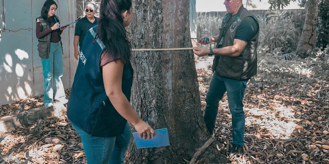 Em Rio Branco, esses pedidos são analisados pela Prefeitura, por meio da Secretaria Municipal de Meio Ambiente - Foto: Vitória Souza/Secom