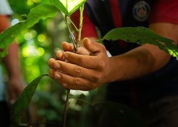 Foto: Ingrid Kelly/Secom