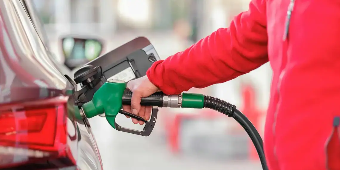 Foto:  Banco de imagens/Pexels/Engin Akyurt