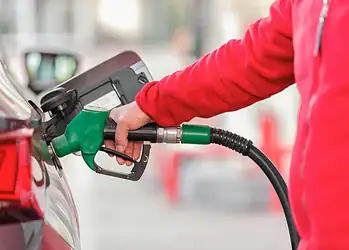 Foto:  Banco de imagens/Pexels/Engin Akyurt