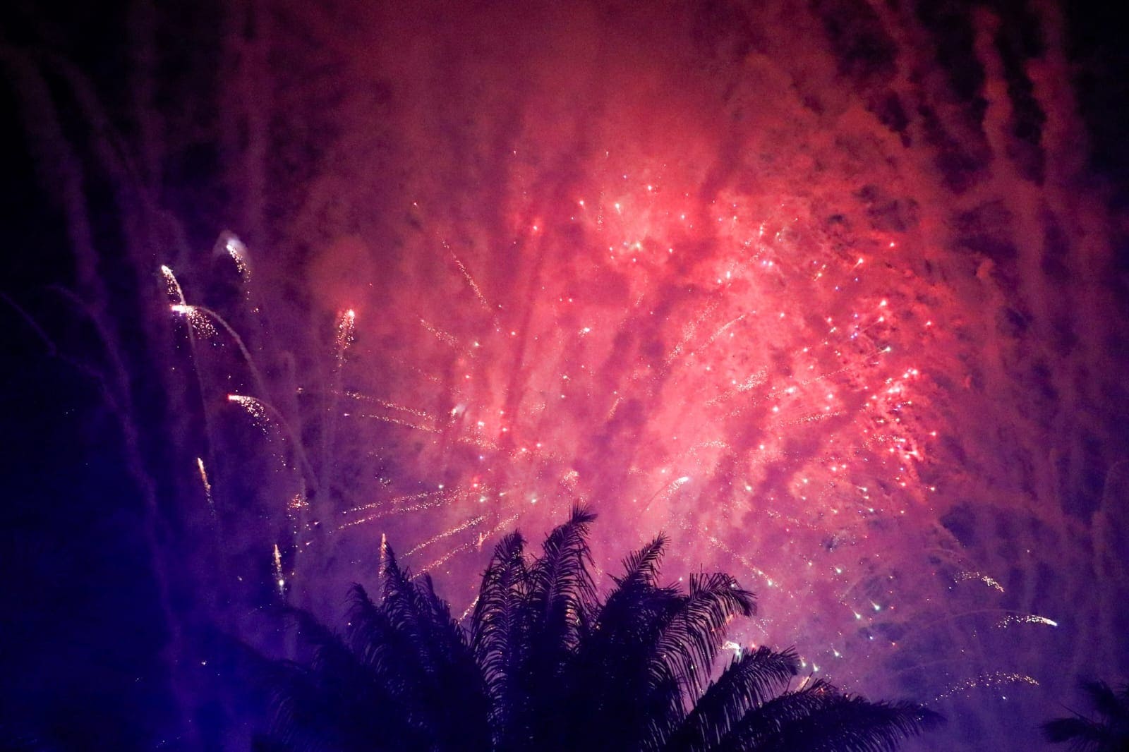 Festa da virada com queima de fogos leva multidão à Praça da Revolução; veja fotos