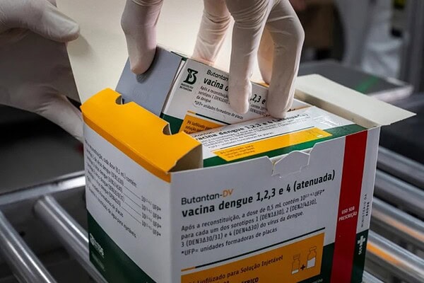Dengue: SUS inicia testes da vacina do Butantan na próxima semana