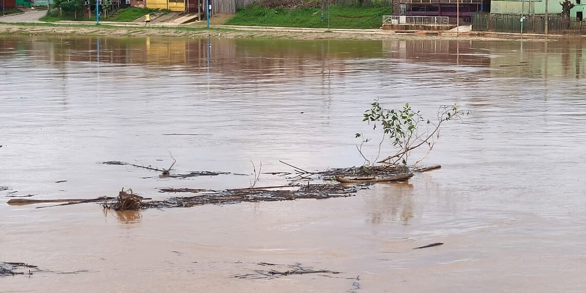 Foto: Walcimar Júnior