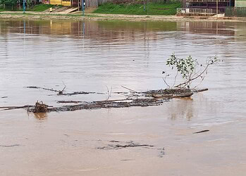 Foto: Walcimar Júnior