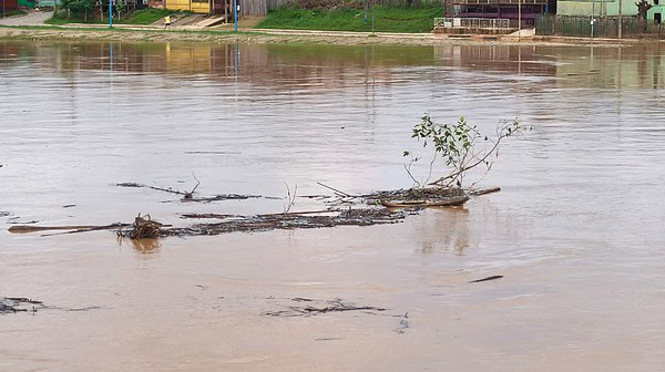 Rio Acre deve atingir cota de transbordo até o meio-dia desta sexta-feira em Rio Branco, prevê Defesa Civil
