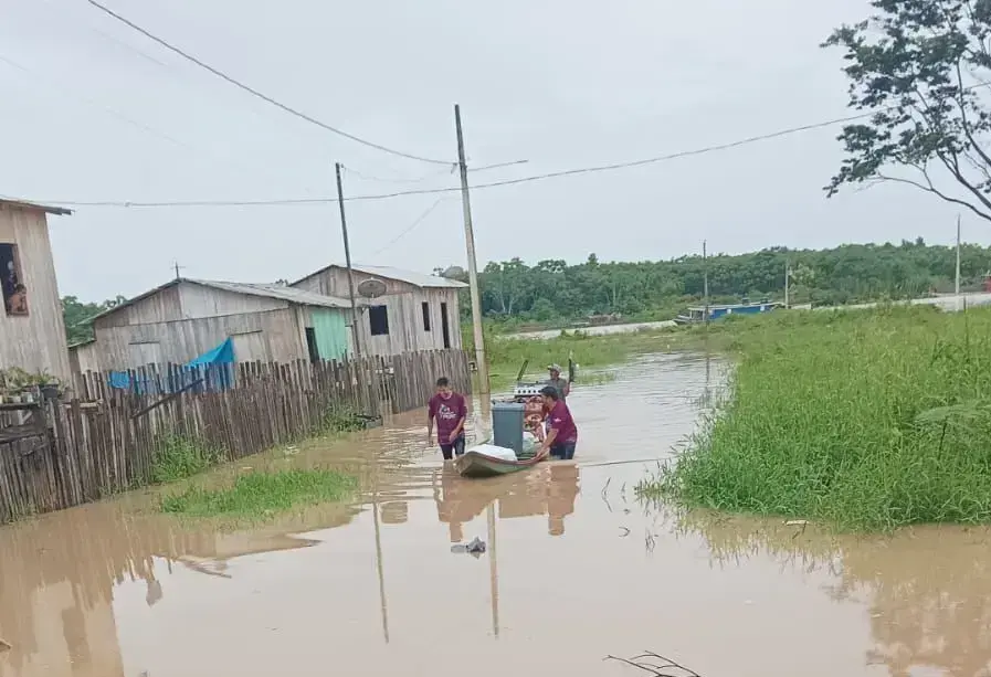 Rio Envira volta a transbordar em Feijó e afeta mais de 600 pessoas; VÍDEO