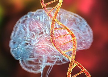 Dr_Microbe/Getty Images