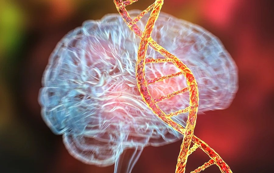 Dr_Microbe/Getty Images